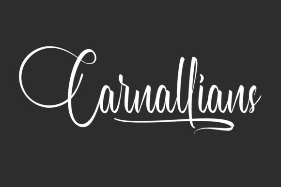 Carnallians Font for Elegant Brand Identity